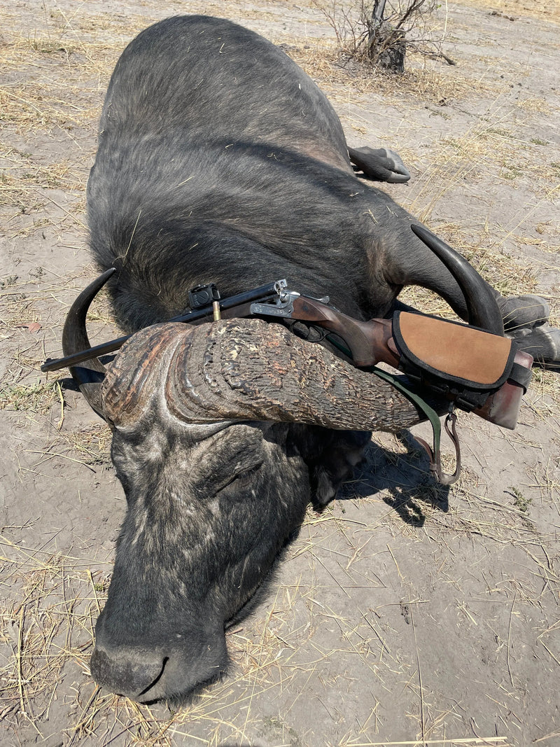Aimpoint acro c-2 buffalo