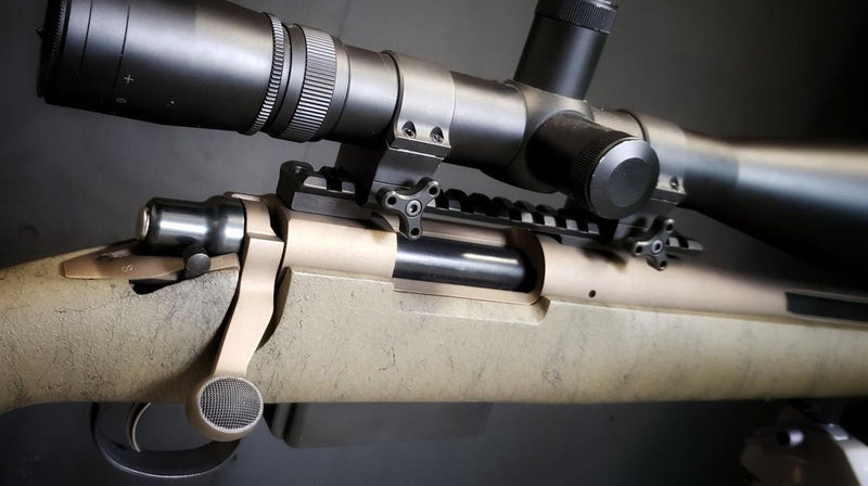Remington 700 “Whitehead custom” cal .308